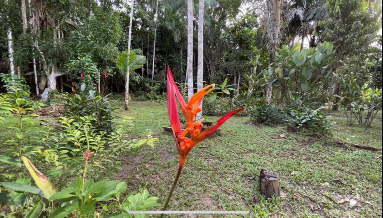 Palmayacu - Refugio Amazonico Летисия Экстерьер фото