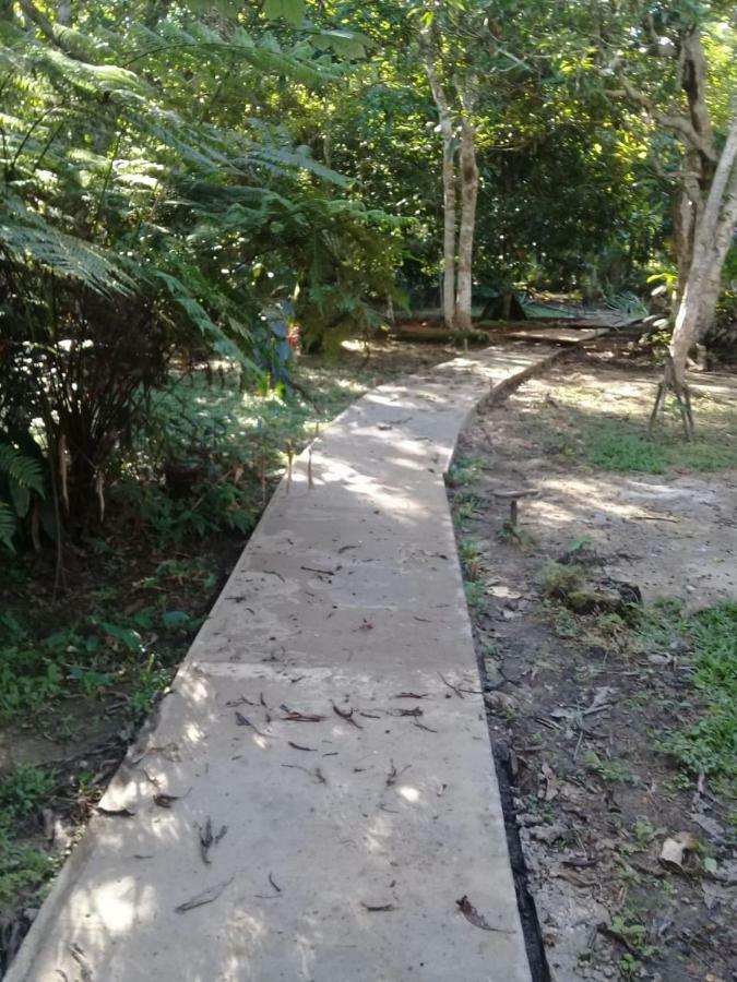 Palmayacu - Refugio Amazonico Летисия Экстерьер фото