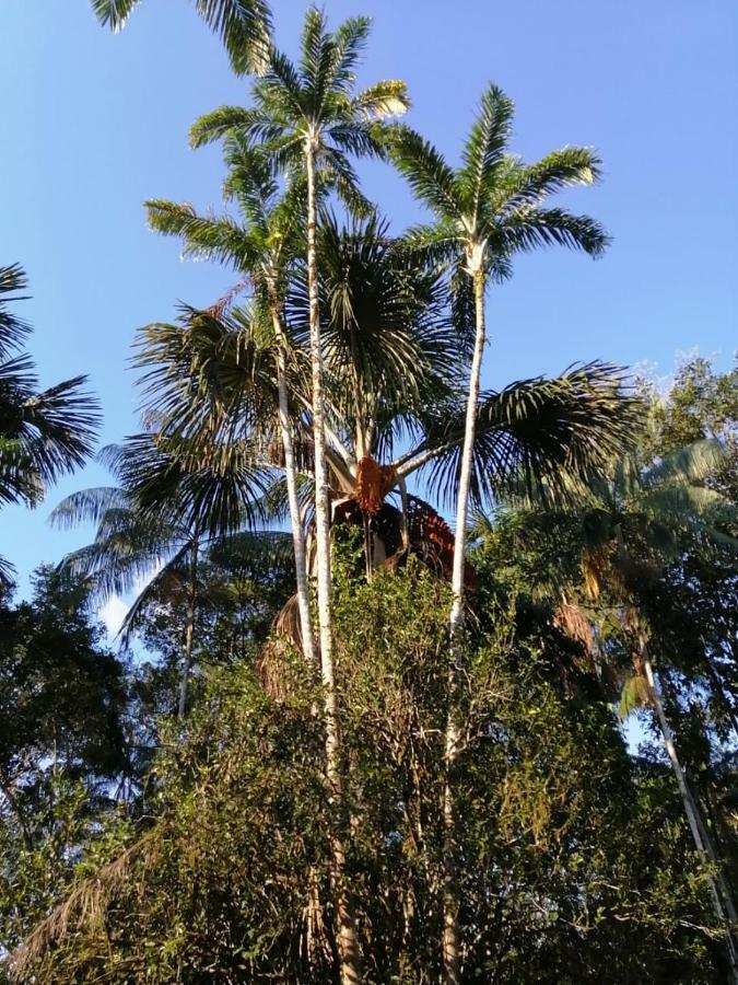 Palmayacu - Refugio Amazonico Летисия Экстерьер фото